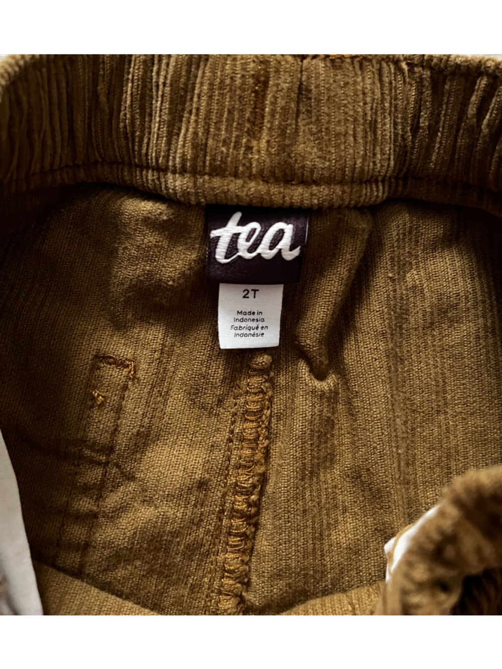 Tea Collection Boy’s Corduroy Pants Burnt Orange - Size 2T - Picture 3 of 7